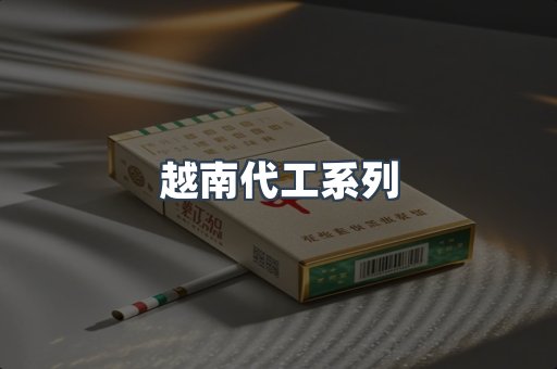 越南代工系列